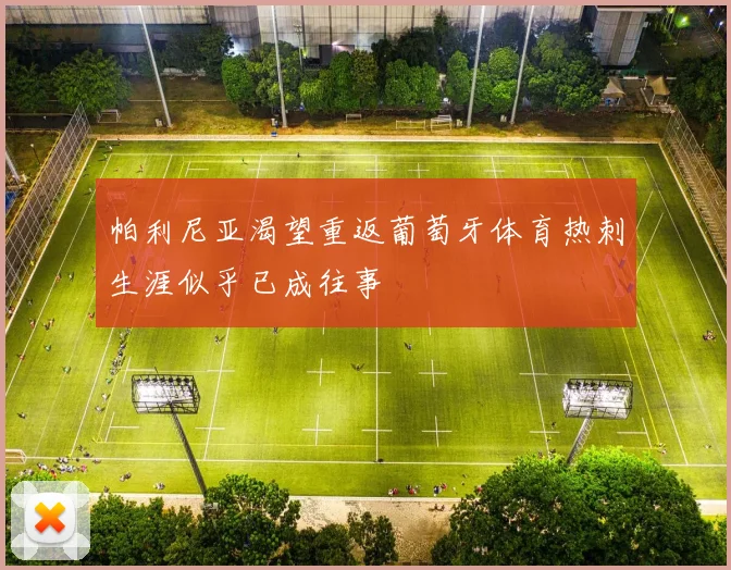 帕利尼亚渴望重返葡萄牙体育热刺生涯似乎已成往事